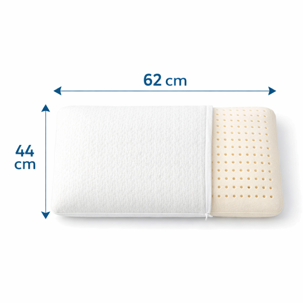 Florida Sleep Latex Ultra Slim Pillow for Natural Orthopedic Posture Support