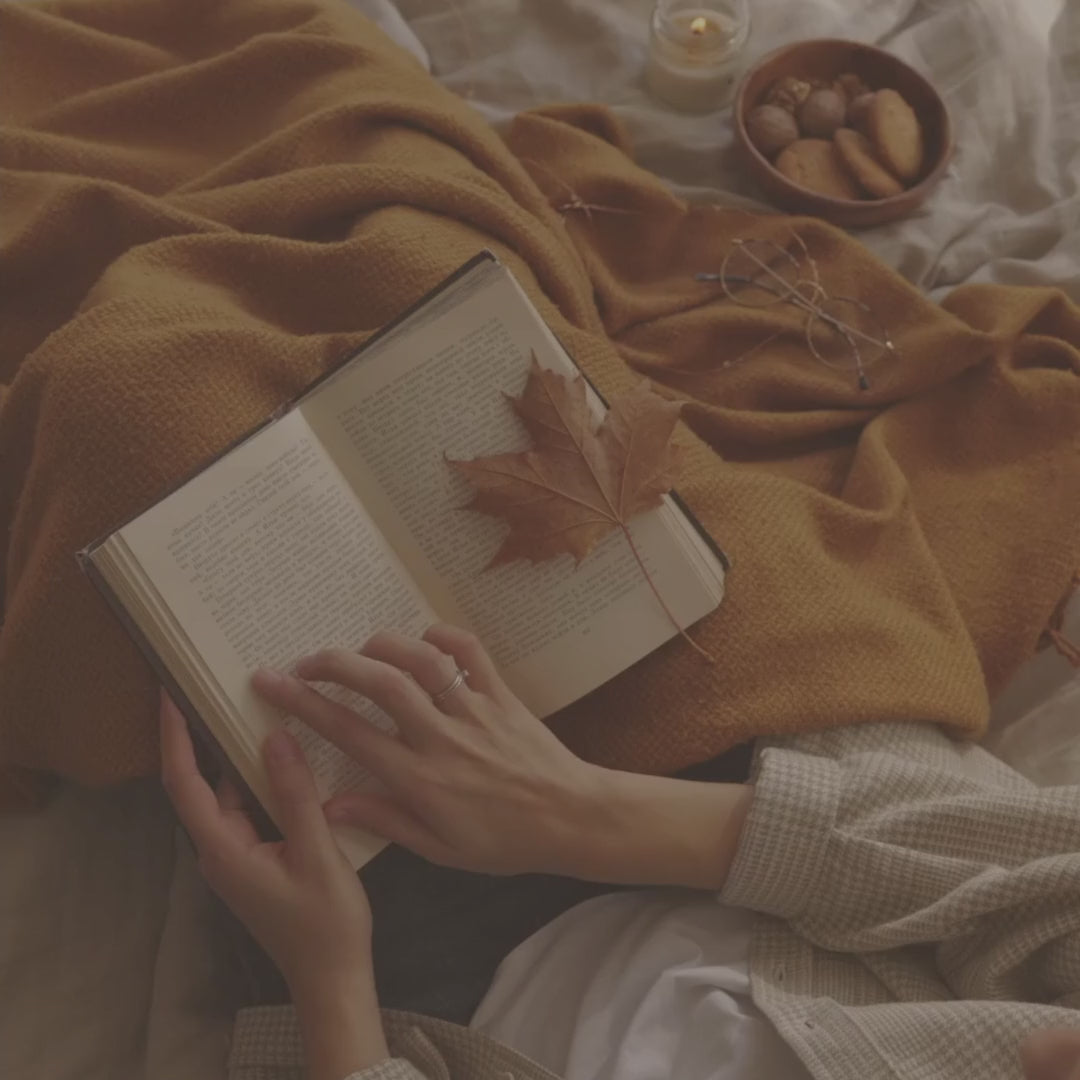 Florida Vistara (Bedding) AC Comforter Set with King Size Bedsheet & Coordinated Pillow Covers